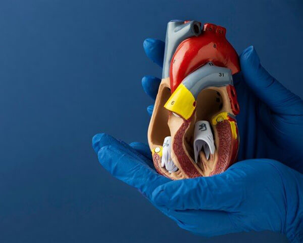 Cardiology Services Hill Candy Hospital Bokaro