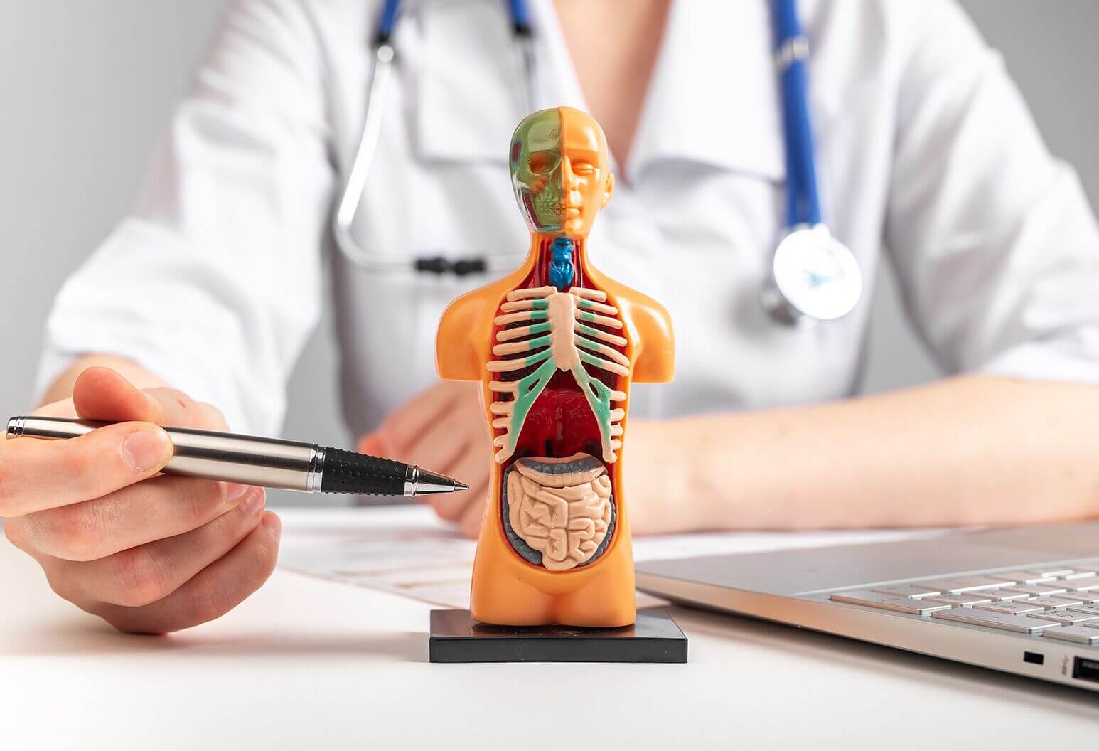 Internal Medicine - Hill Candy Hospital